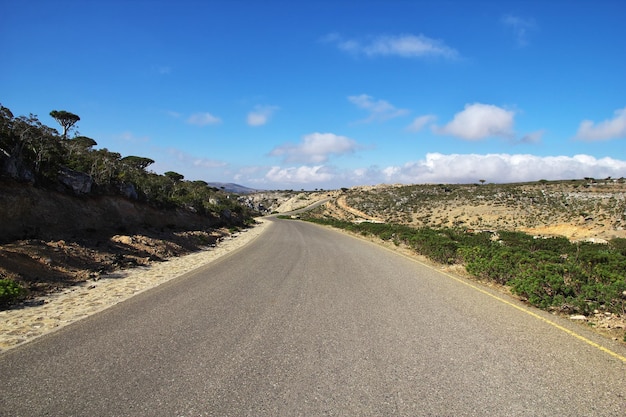 La strada sull'isola di Socotra Oceano Indiano Yemen