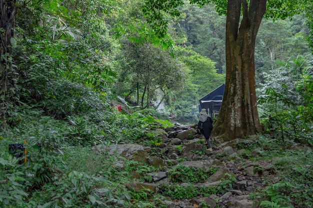 La strada sulla foresta tropicale che va a picco sulla montagna durante la stagione delle piogge