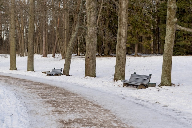 La strada sulla neve nel parco invernale e panchine