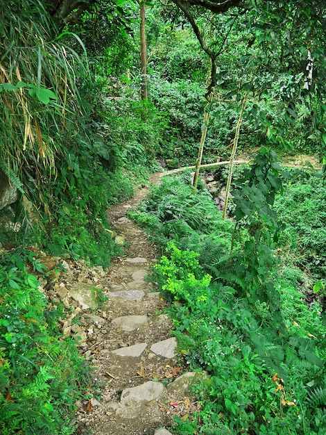 La strada sulle montagne a Banaue delle Filippine
