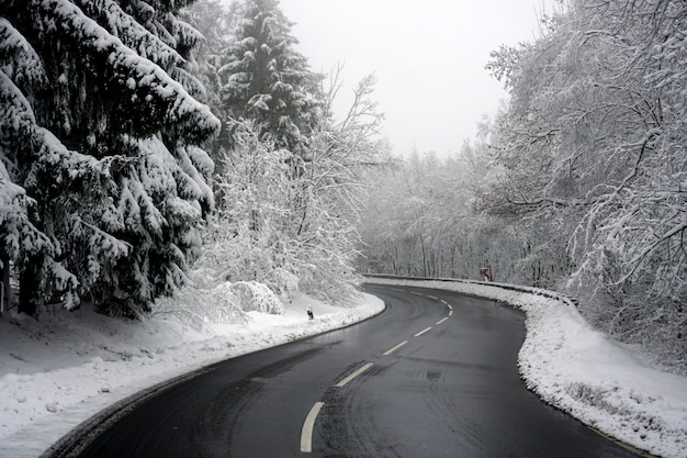 La strada tortuosa attraversa un paesaggio completamente innevato