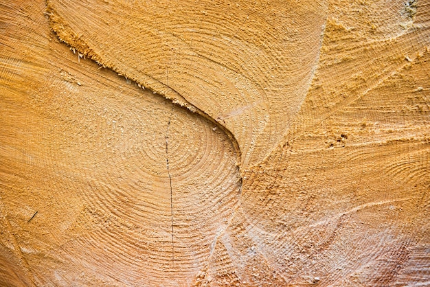 La struttura di legno incrinata di colore giallo chiaro può essere utilizzata per lo sfondo