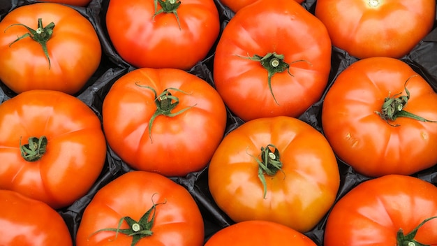 La struttura di vista superiore dei pomodori rossi ha messo dentro la scatola pronta a vendere nel mercato locale, fondo