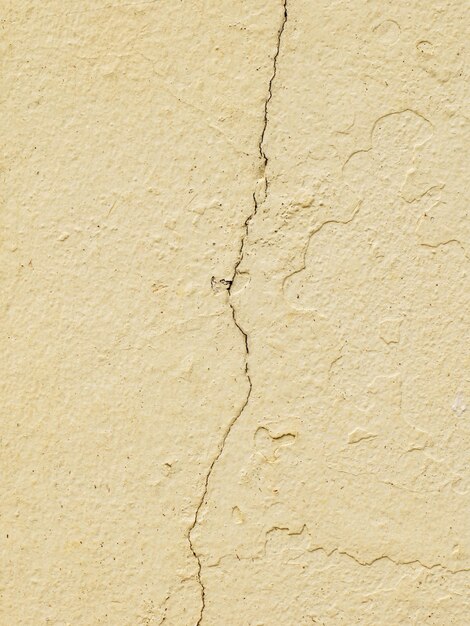 La superficie del vecchio muro presentava crepe come se stesse per rompere una fessura verticale