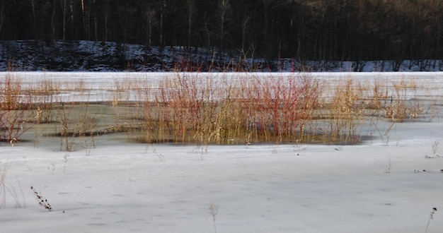 la superficie ghiacciata del fiume nella stagione invernale