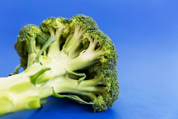 La testa fiorita e il gambo di broccoli su uno sfondo blu nell'angolo del tiro.