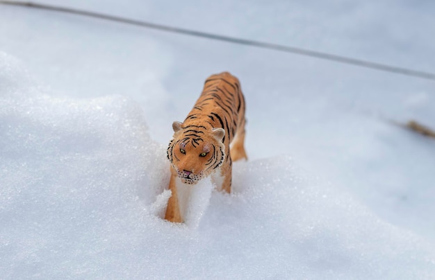 La tigre si insinua nella neve in inverno