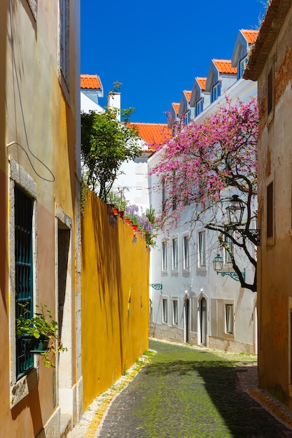 La tipica strada di Lisbona con albero primaverile in fiore ad Alfama, Portogallo