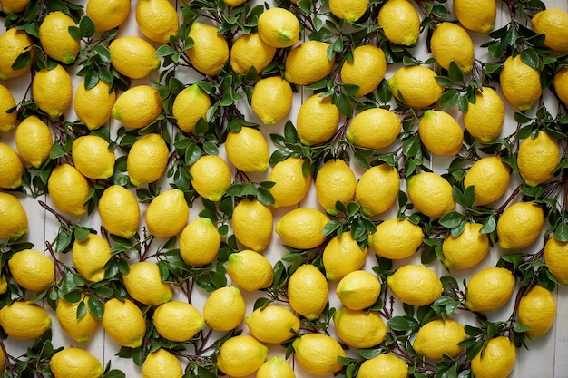 La trama dei limoni Pannelli di limoni artificiali sulla parete Limoni in decoro