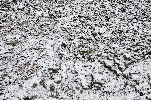 La trama del terreno, ricoperta da un sottile strato di neve. Il terreno del giardino in inverno. Il terreno scavato da vicino