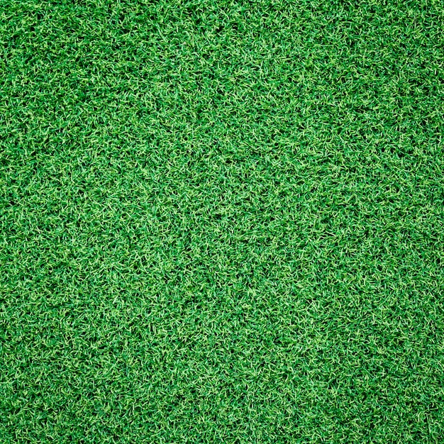 La trama dell'erba verde può essere utilizzata come sfondo