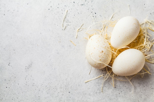 La Turchia eggs su fieno su fondo bianco, spazio della copia.