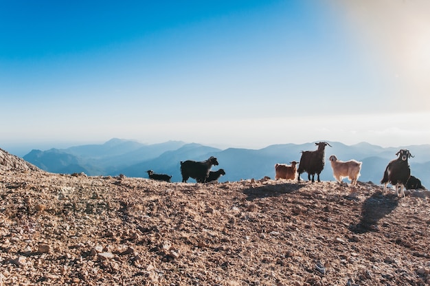 La Turchia Montagna di Tahtali