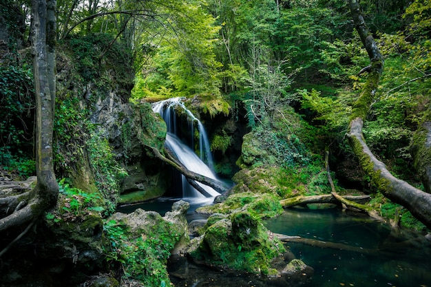 La Vaioaga cascata nella foresta, Romania.