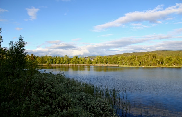 La valle con lago e foresta