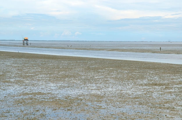 La vasta spiaggia fangosa in Thailandia.