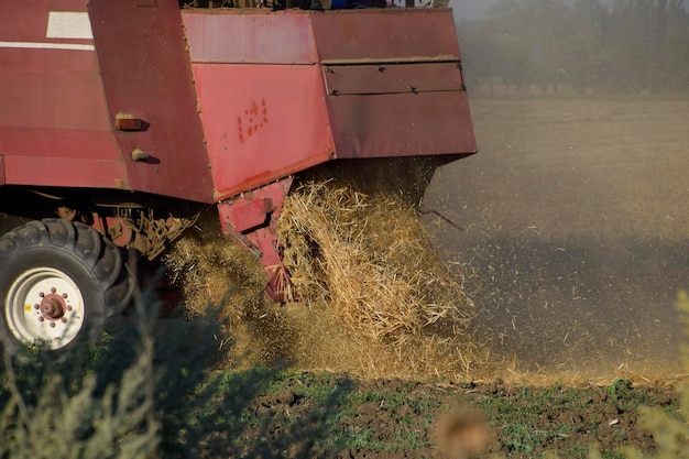 La vecchia mietitrebbia raccoglie il grano Macchine agricole