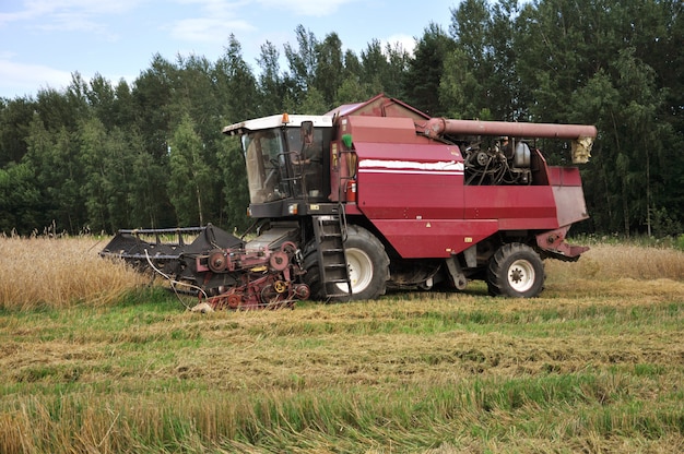 La vecchia mietitrice rurale raccoglie il grano maturo nel campo.