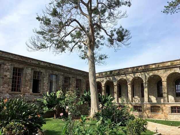 La vecchia natura abbandonata dell'edificio ricresce in mattoni