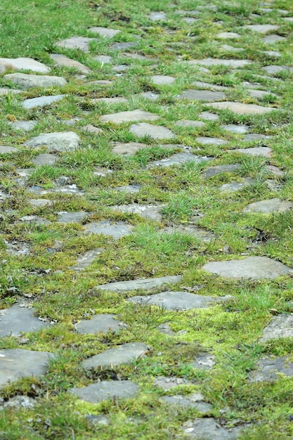 La vecchia strada asfaltata ricoperta di erba