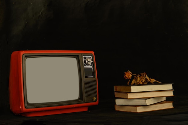 La vecchia TV retrò è ancora vita da fiori secchi posti su libri