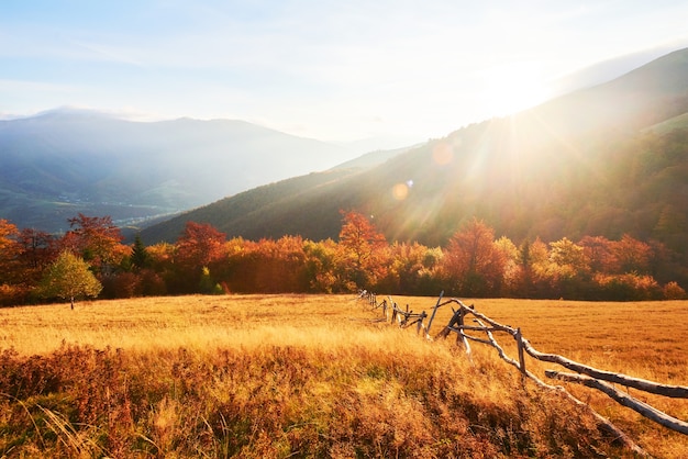 La vegetazione degli altipiani è modesta in estate e fiorisce in colori insolitamente belli in autunno