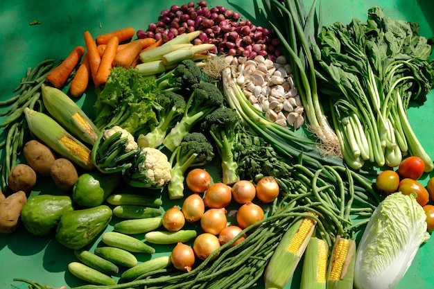 la verdura. aglio, scalogno, mais dolce, peperoncini, pomodori, carote, cavoli, scalogno, broccoli.