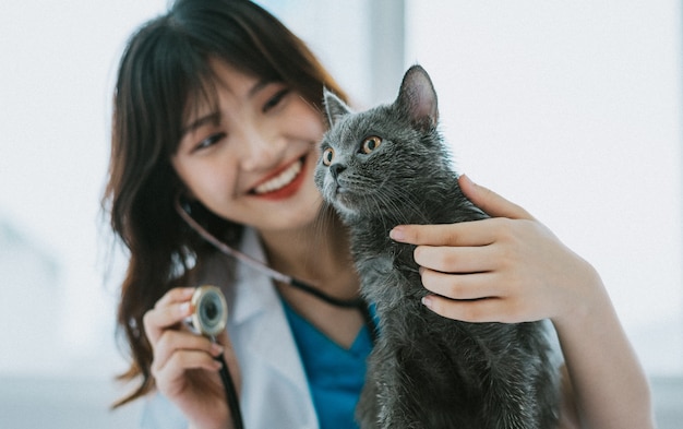 La veterinaria femminile sta facendo esami fisici di routine per il gatto