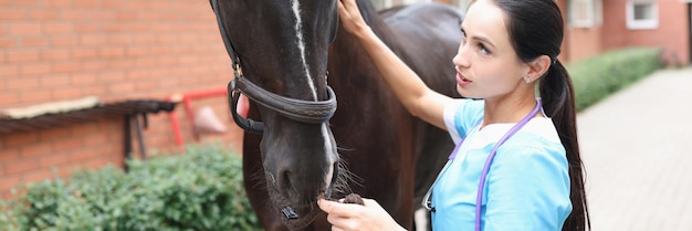 La veterinaria sta facendo conoscenza con la medicina del cavallo e il controllo veterinario
