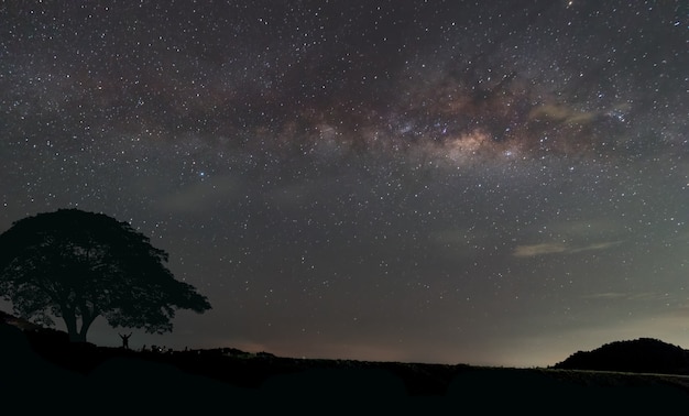 La Via Lattea e alcuni alberi in montagna