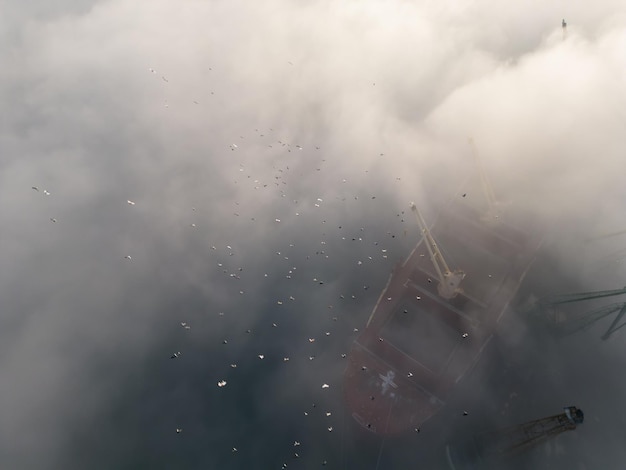 La vista aerea della grande nave portarinfuse viene caricata con chicchi di grano nel porto nella nebbia