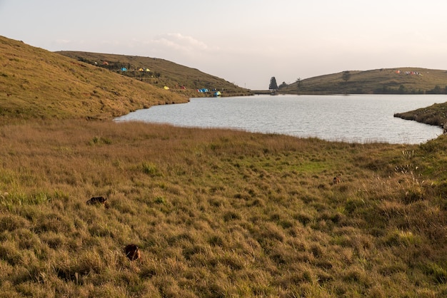 La vista completa del lago naturale sulla prateria, con cielo azzurro, acqua limpida ed erba gialla