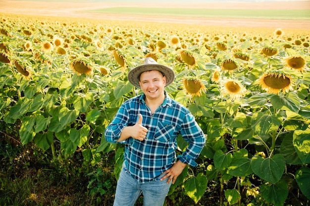 La vista dall'alto dell'allegro contadino con il cappello mostra il pollice in su e guardando la telecamera l'uomo grasso è nel girasole...