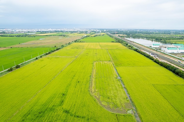 La vista dall'alto dell'azienda agricola coltiva il bel paesaggio delle piante