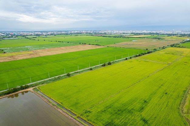 La vista dall'alto dell'azienda agricola coltiva il bel paesaggio delle piante