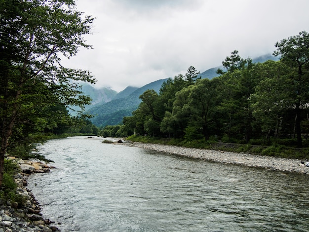 La vista del flusso scorre giù attraverso la foresta sulla montagna con sfondo nuvola a Kamikochi in Giappone