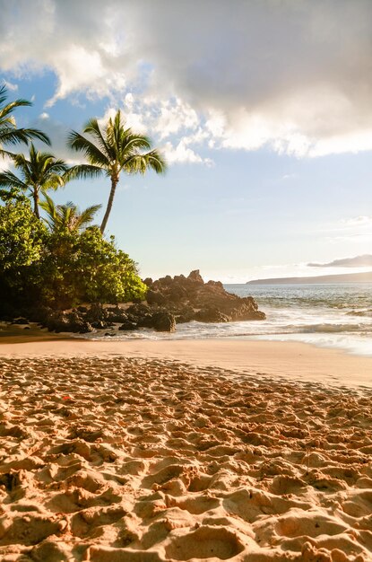 La vista del tramonto sulla bellissima spiaggia tropicale, la spiaggia segreta del matrimonio, la baia di Makena, Maui, Hawaii.