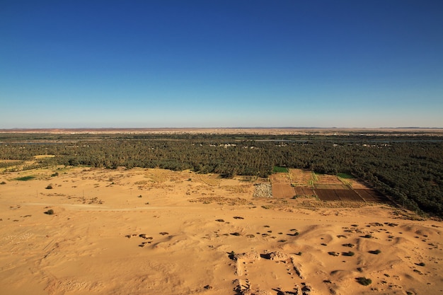 La vista dell'oasi sul fiume Nilo in Sudan