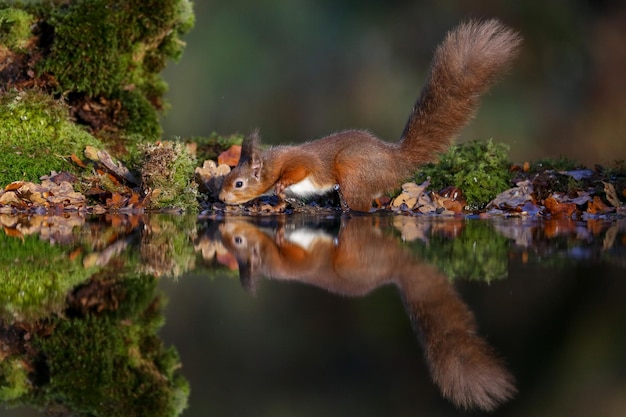 La vista di un lago