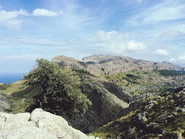 La vista idilliaca della serra de tramuntana contro il cielo