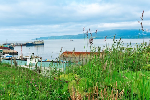 La vista offuscata da un'alta banca a un piccolo porto di pescatori sulla riva di una baia oceanica si concentra sull'erba vicina