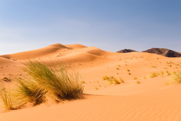 La vista panoramica del deserto contro il cielo blu