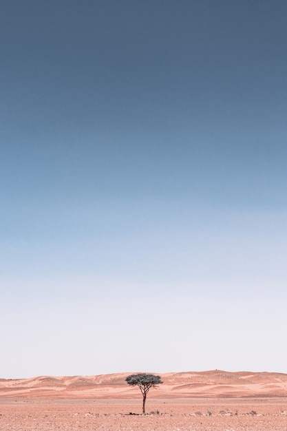 La vista panoramica del deserto contro il cielo blu