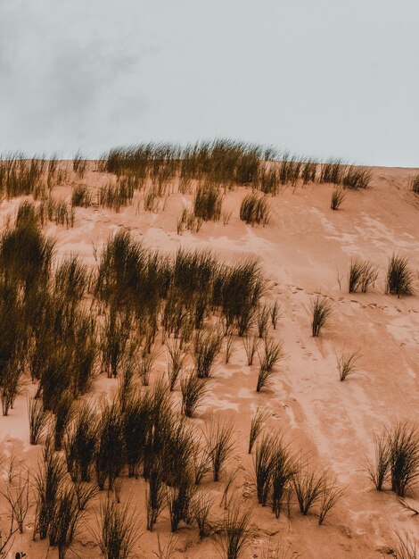 La vista panoramica del deserto contro il cielo