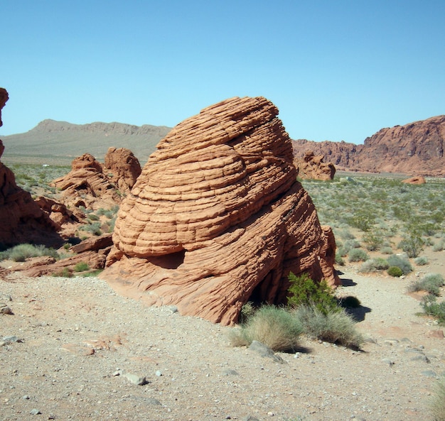 La vista panoramica del deserto contro un cielo limpido