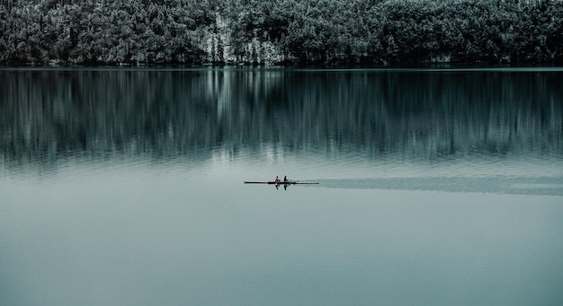 La vista panoramica del lago contro gli alberi
