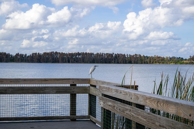 La vista panoramica del lago contro il cielo