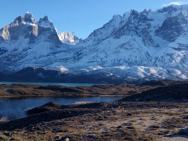 La vista panoramica del lago ghiacciato contro la catena montuosa