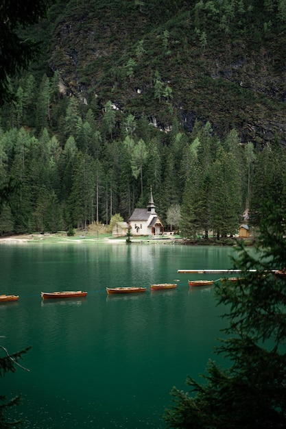 La vista panoramica del lago nella foresta