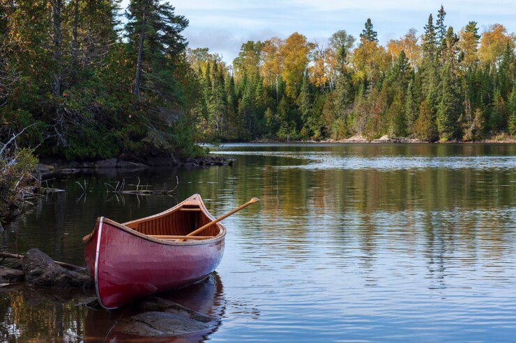 Foto la vista panoramica del lago nella foresta